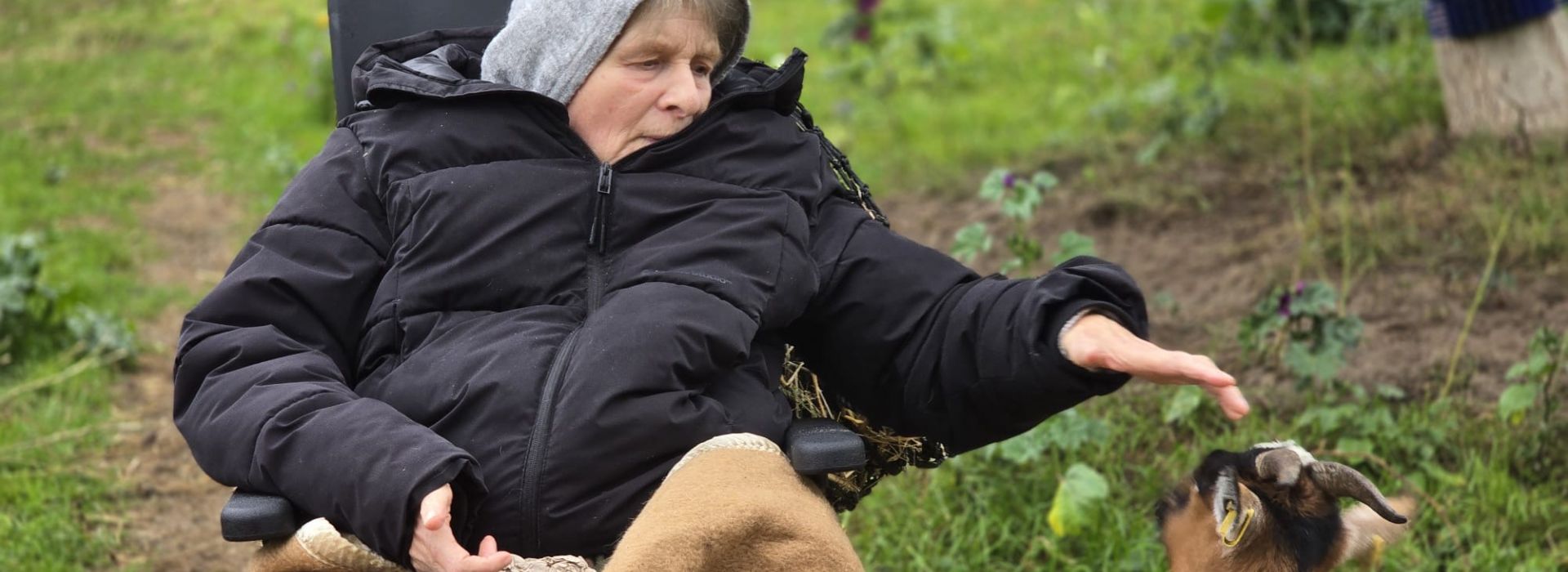 Eine Wiese mit einer Frau im Rollstuhl, die eine Ziege streichelt
