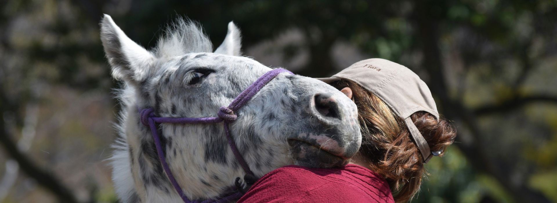 Eine Frau umarmt ein Pferd