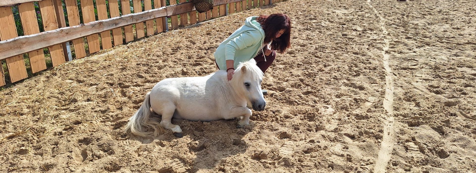 Ein kleines weißes Pony mit einer Frau