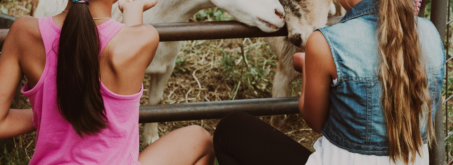 2 Jugendliche, die 2 Ziegen füttern